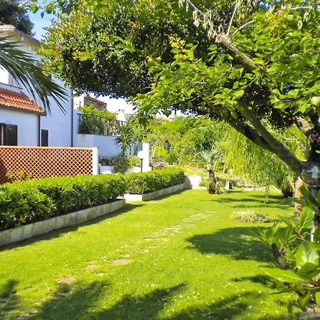 Holiday Capoliveri Ito09276 Dyd *